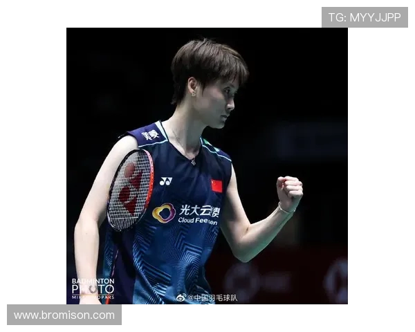 武汉羽毛球队精英赛征程回顾与奋斗精神的深度剖析 武汉羽毛球队精英赛征程回顾与奋斗精神的深度剖析