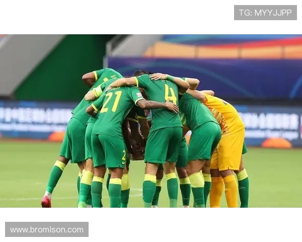 深圳羽毛球队的蜕变之旅：从传统到现代的全新纪实探索