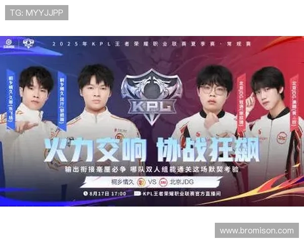 王者荣耀团队协作排名新突破JDG表现亮眼引发关注