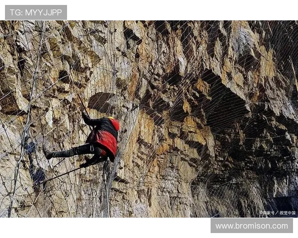科学攀岩中的灵活性训练技巧与方法探讨