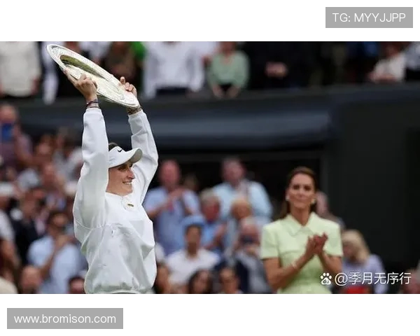 网球场上的奋斗与荣耀：陈敏的职业生涯回顾与展望