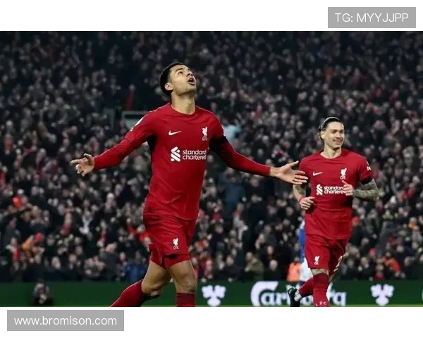 英足总杯精彩对决利物浦与埃弗顿的比赛视频回顾与精彩瞬间分析