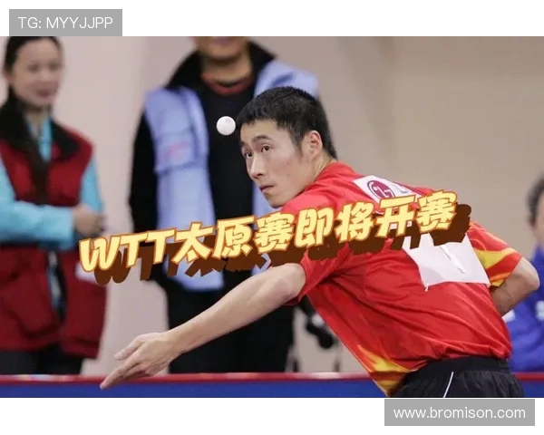 陈娜专访：从乒乓球新星到世界冠军的辉煌旅程回顾