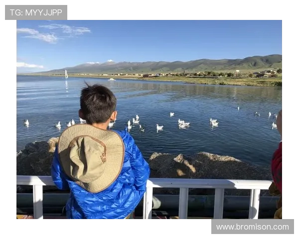 重庆篮球队区域防守革新之路探索与实践分析 重庆篮球队区域防守革新之路探索与实践分析