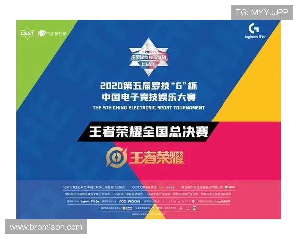 RNG战队技术解析与战术探讨助力王者荣耀竞技水平提升