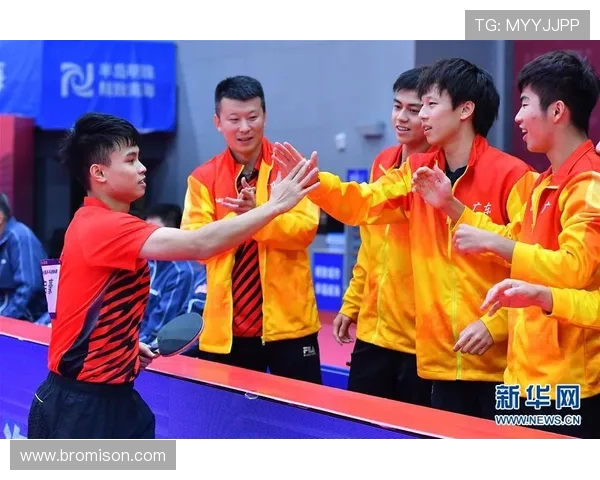 全国锦标赛分析：北京乒乓球队团队协作的精彩表现与启示