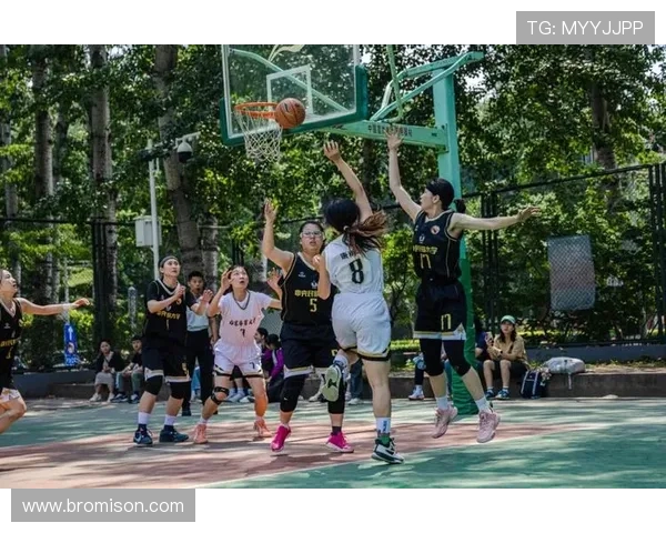 北京篮球队荣登篮球战术排行榜首位引领全国篮球潮流 北京篮球队荣登篮球战术排行榜首位引领全国篮球潮流