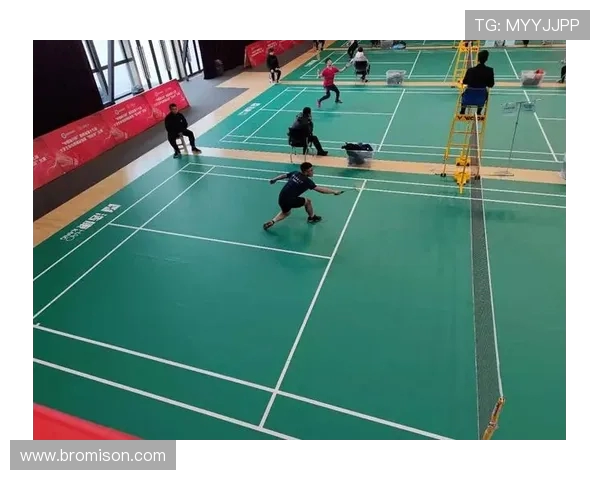 广州羽毛球队与西安羽毛球队赛后分析力量对比与战术探讨