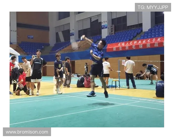 成都羽毛球队挑战赛背后的拼搏故事与奋斗精神揭秘