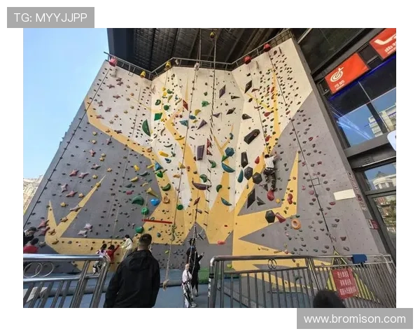 深圳攀岩队的个人能力揭秘与训练心得分享之旅