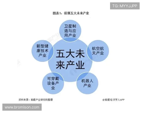 深圳篮球队实力对比深度解析与未来发展趋势探讨